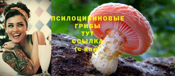a pvp Зеленодольск