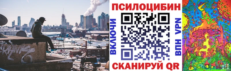 Купить где  Дятьково  Псилоцибиновые грибы прущие грибы 